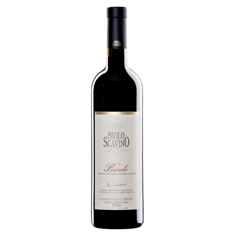 Barolo - Paolo Scavino