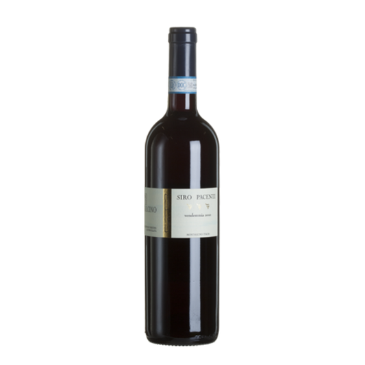 Rosso di Montalcino - Siro Pacenti